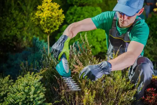 landscaping services Riverwood